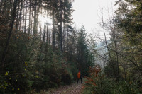 /album/deutschlandsberg-klause-19-november-2025/deutschlandsberg-klause-19-11-2025-11-jpg/